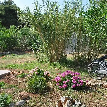 Blusanvito * サン・ヴィート・ロ・カーポ